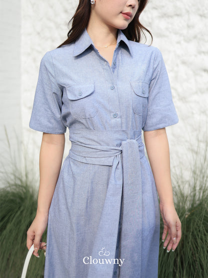 Standford Button Dress - Blue