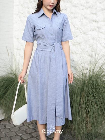 Standford Button Dress - Blue