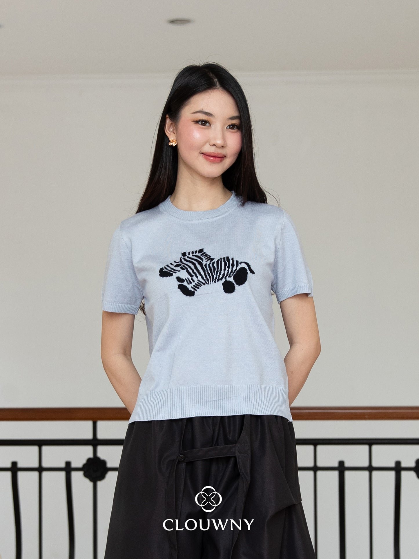 Zebra Knit Top - Blue