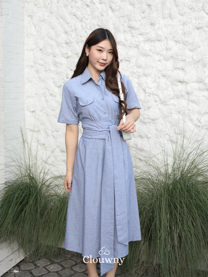 Standford Button Dress - Blue
